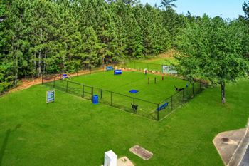 Dog park